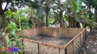 IMG-20250225-WA0730(1)