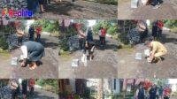IMG-20250503-WA0028