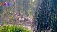 IMG-20250531-WA0302
