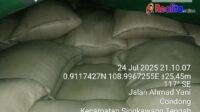 IMG-20250725-WA0024