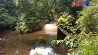 IMG-20251116-WA0289