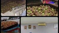 IMG-20251202-WA0052