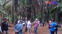 IMG-20251202-WA0098